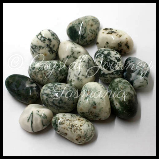 Tree Agate Crystal Tumbled Stones