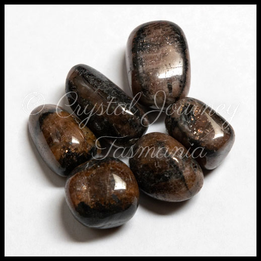 Chiastolite Crystal Tumbled Stones