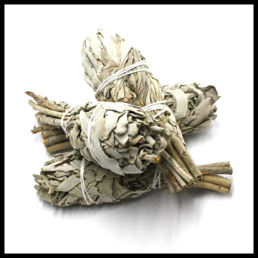 Californian White Sage Smudge Stick - Salvia Apiana